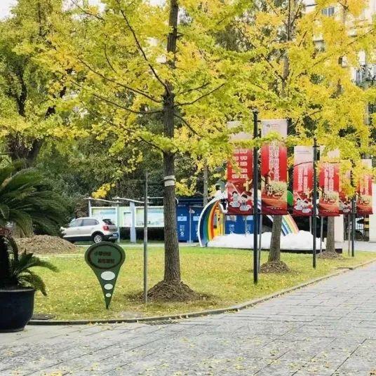 家庭指導資格證_家庭指導培訓心得體會_上海市家庭教育指導師