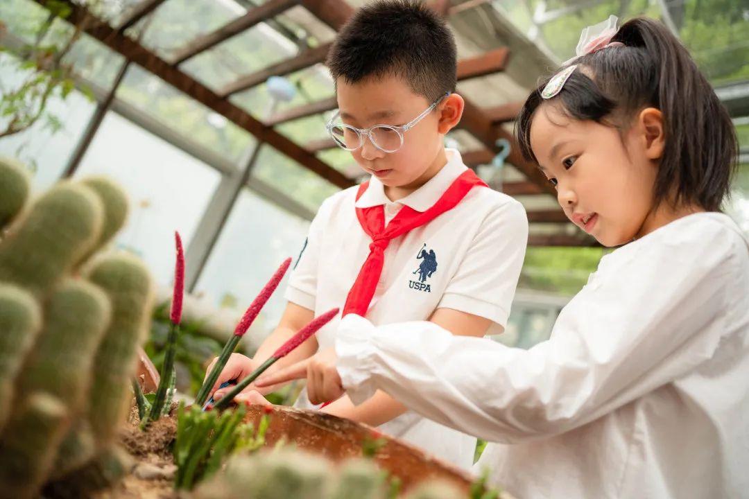 家庭指導資格證_家庭指導培訓心得體會_上海市家庭教育指導師
