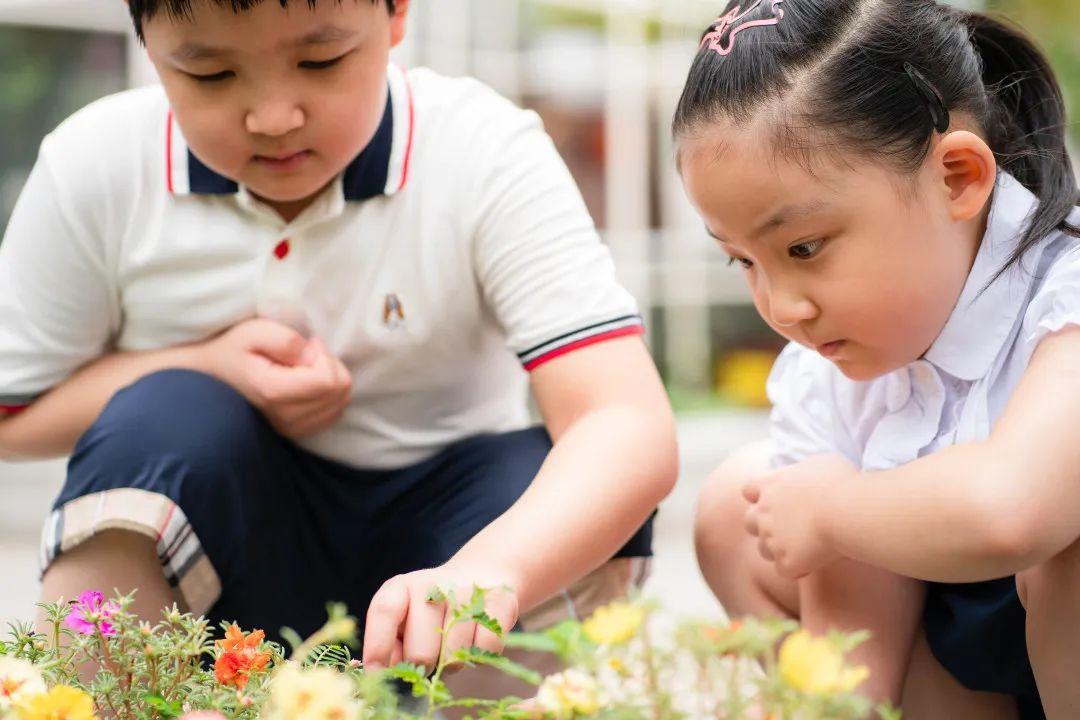 家庭指導培訓心得體會_上海市家庭教育指導師_家庭指導資格證