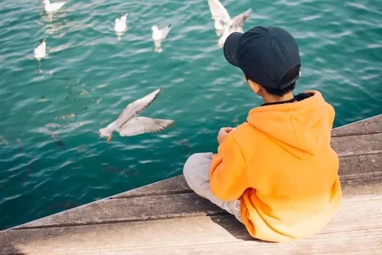 家庭怎么教育孩子_決定孩子一生的命運 家庭氛圍和孩子性格_12歲孩子家庭教育