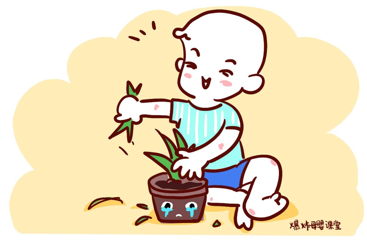 【家庭養花】家庭水培花卉種植方法知識大全_溺愛型家庭教育的解決方法_溺愛孩子的教育建議