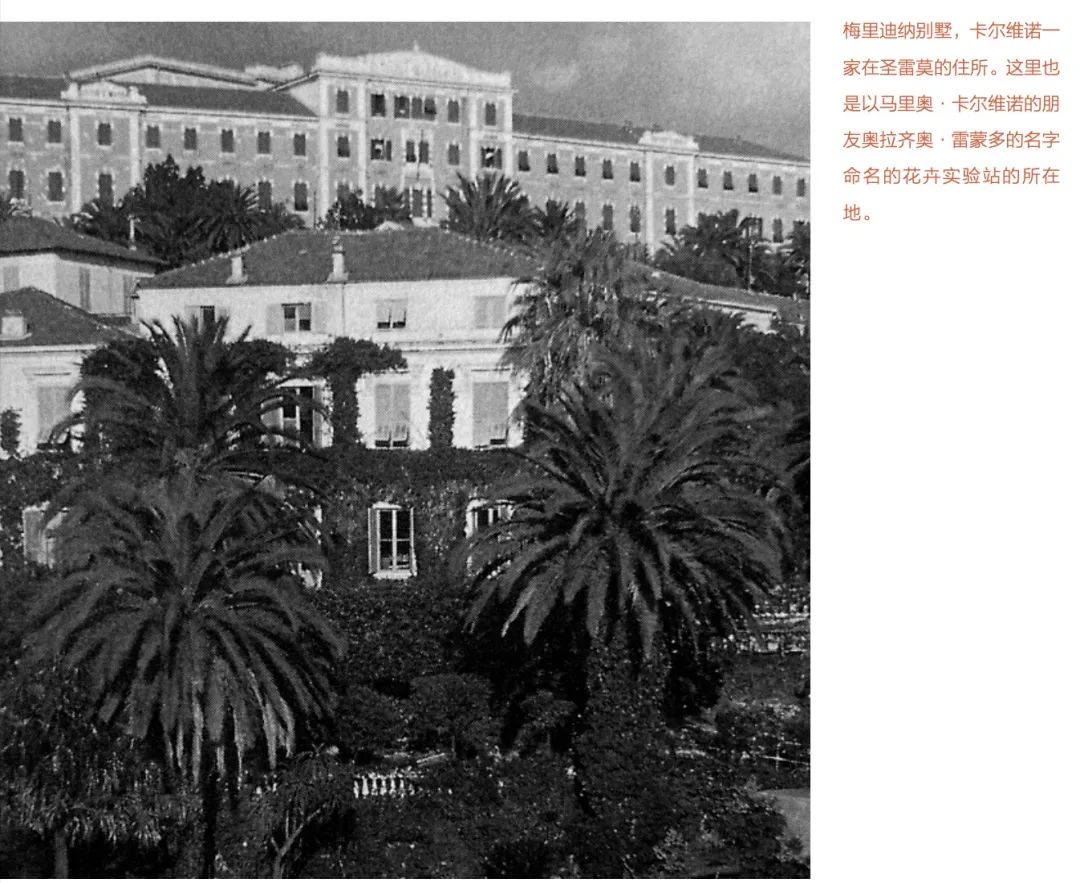 卡爾威特家庭教育_卡爾威特教育在我家_卡爾威特的教育的簡介