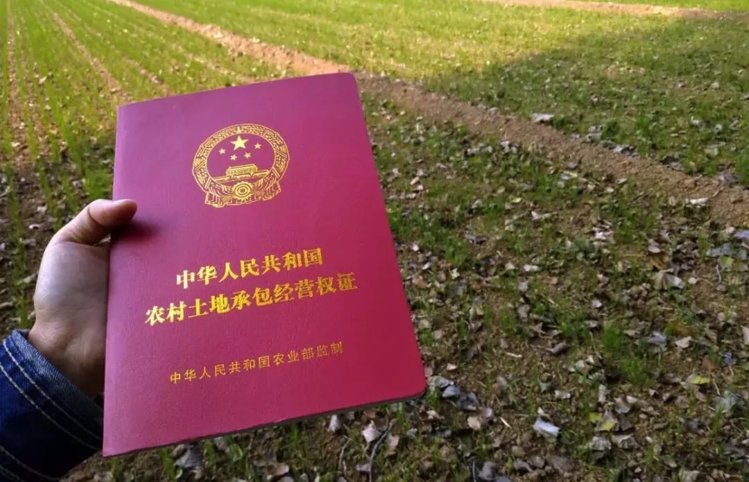 年，一大波農(nóng)業(yè)補貼，不要錯過！（附申報技巧）