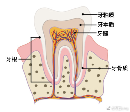 牙齒美白有效方法_美白牙齒最有效的方法_牙齒美白有效方法有哪些