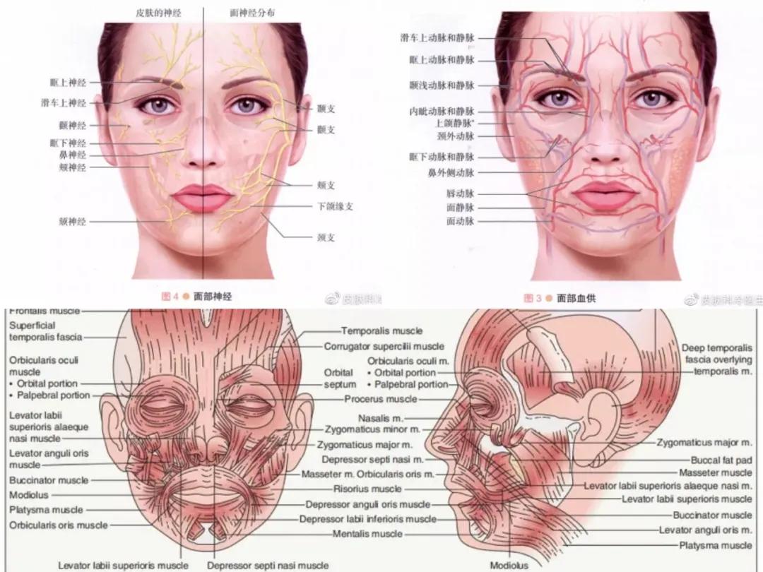 美容皮膚科_美容皮膚科門診開設條件_美容皮膚