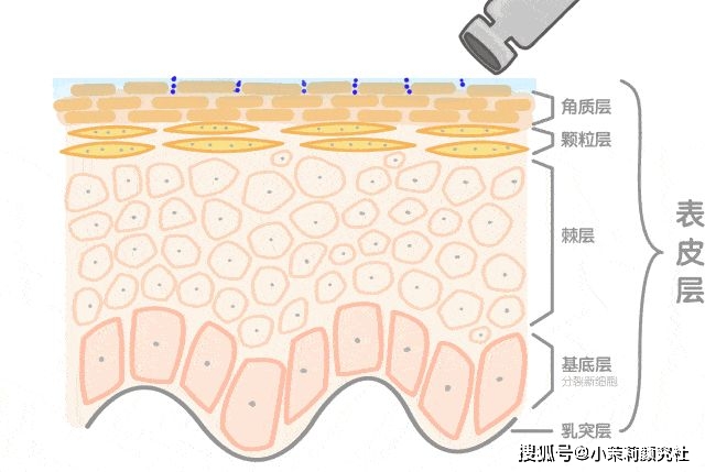 每天敷面膜可以改善皮膚嗎_敷每天面膜改善皮膚可以美白嗎_每天敷面膜真的可以改善皮膚嗎