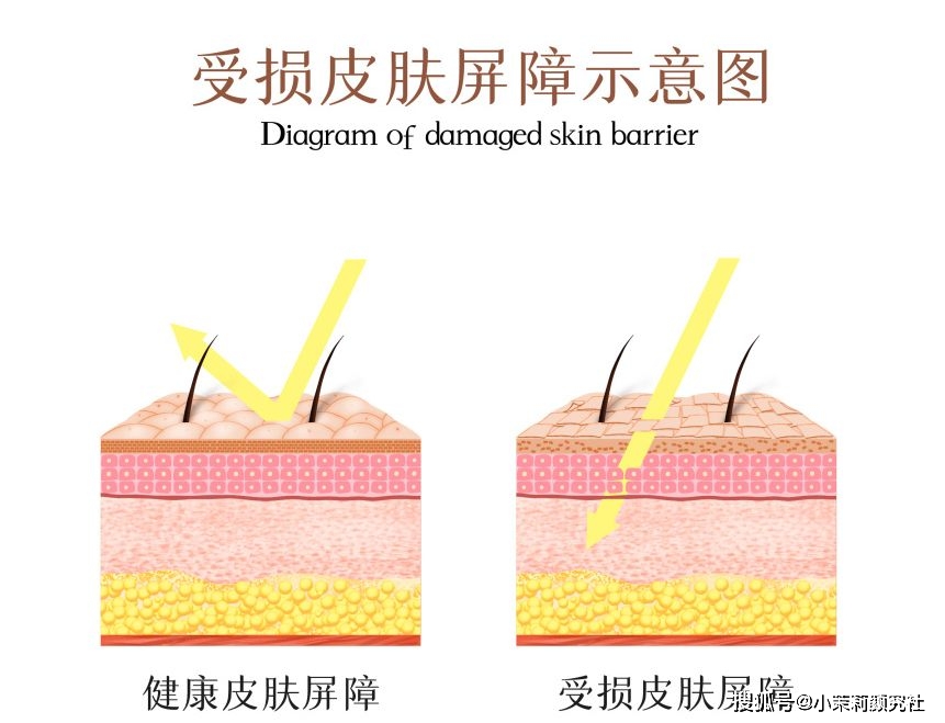每天敷面膜真的可以改善皮膚嗎_敷每天面膜改善皮膚可以美白嗎_每天敷面膜可以改善皮膚嗎