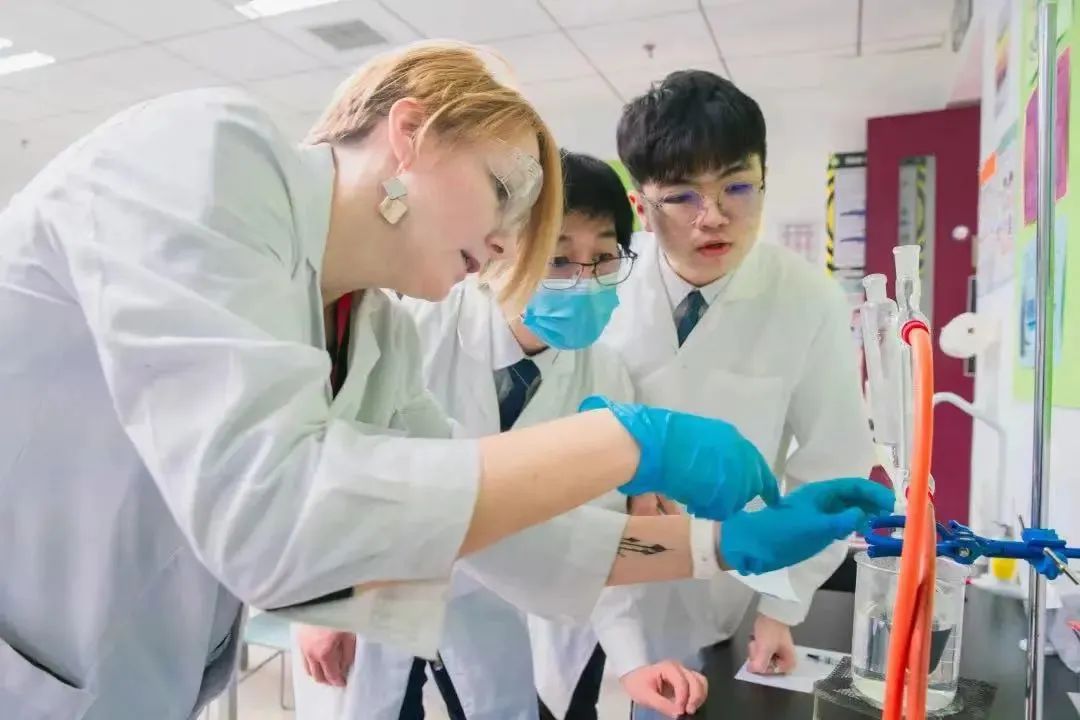學校和家庭教育結合_家庭教育與學校教育怎么結合_家庭與學校教育相結合