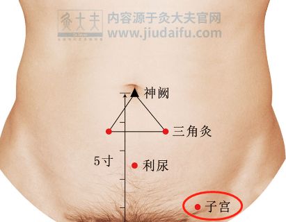子宮排毒有必要嗎_美容院的子宮排毒一大坨是什么_美容院子宮排毒有必要做嗎