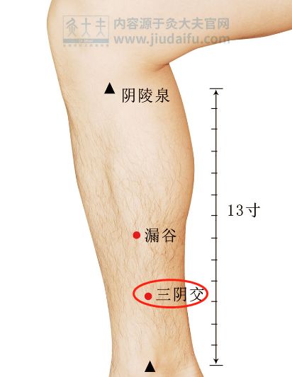子宮排毒有必要嗎_美容院的子宮排毒一大坨是什么_美容院子宮排毒有必要做嗎