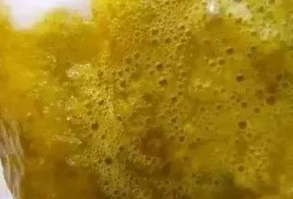 大便出血血液包裹大便_拉粑粑帶著血_寶媽拉大便帶血是什么情況
