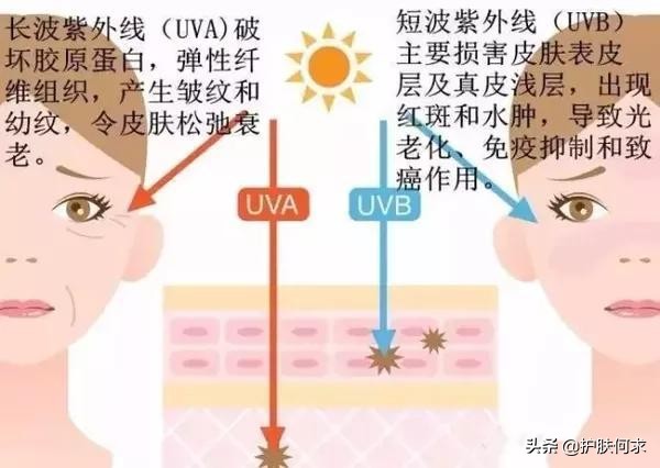 美白袪斑_斑淡化最有效的方法_美白淡斑最簡單的方法